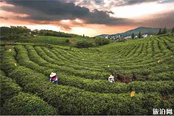 南京周边旅游景点推荐