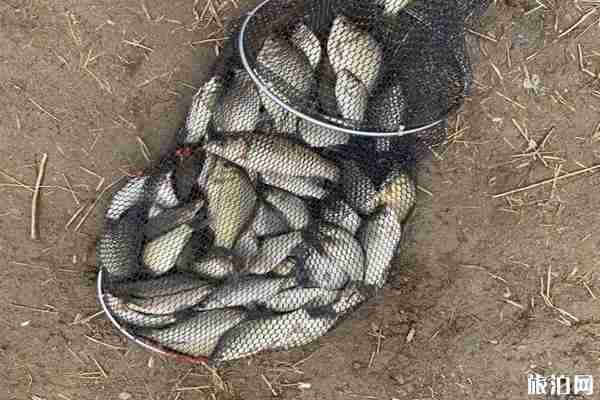 垛莊水庫釣魚收費 垛莊水庫釣魚情況介紹 垛莊水庫釣魚收費 垛莊水庫釣魚情況介紹