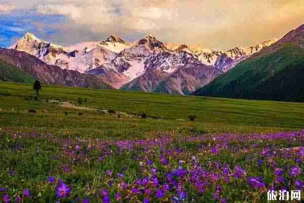 2020年五一去新疆需要什么证明 五一新疆恢复列车 2020年五一去新疆需要什么证明 五一新疆恢复列车