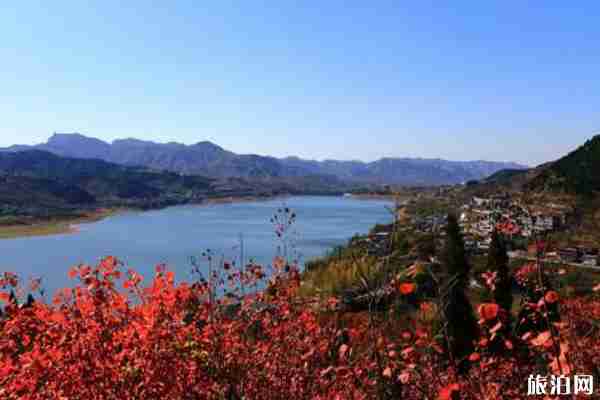 济南周边露营推荐