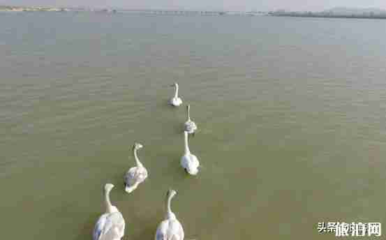 济南周边露营推荐