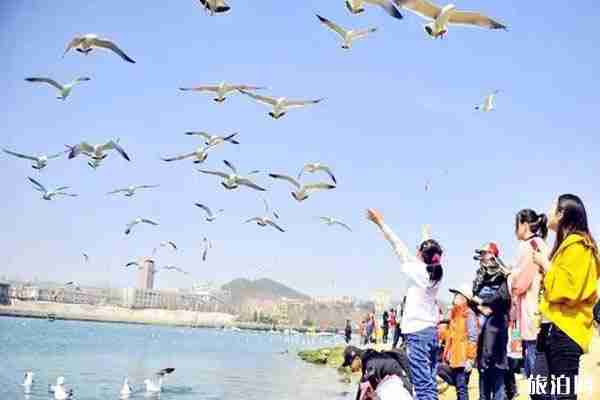 2020五一老虎灘門票優惠活動 五一老虎灘表演時間 2020五一老虎灘門票優惠活動 五一老虎灘表演時間