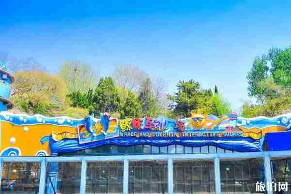 2020五一老虎灘門票優惠活動 五一老虎灘表演時間 2020五一老虎灘門票優惠活動 五一老虎灘表演時間