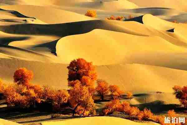 天醒之路在哪里拍攝 天醒之路取景地介紹 天醒之路在哪里拍攝 天醒之路取景地介紹