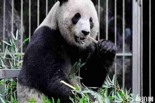 西安周邊一日游好去處推薦