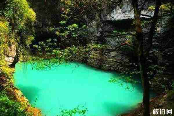 張家界發現地質奇觀天坑心湖 在哪-形成原因