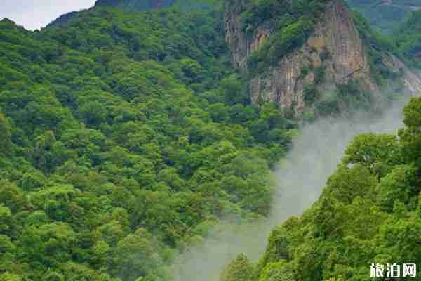 朱雀國家森林公園五一免費預(yù)約指南 附游玩攻略