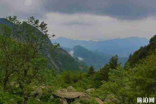朱雀國家森林公園五一免費預(yù)約指南 附游玩攻略