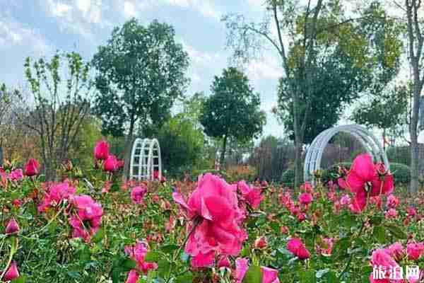 2020天生橋風景區(qū)門票預約方式和流程