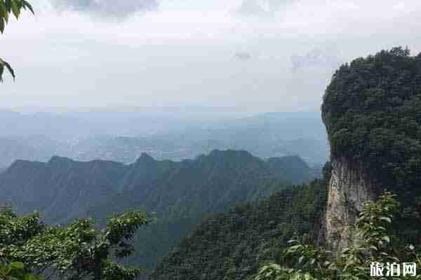 2020廈門天竺山預(yù)約方式 廈門天竺山攻略