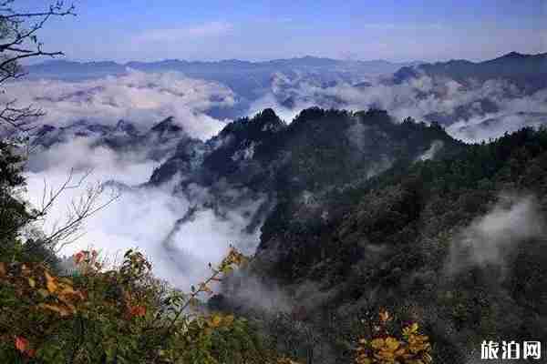 牛背梁國家森林公園景區直通車運行時間