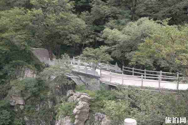 牛背梁國家森林公園景區直通車運行時間 牛背梁國家森林公園景區直通車運行時間