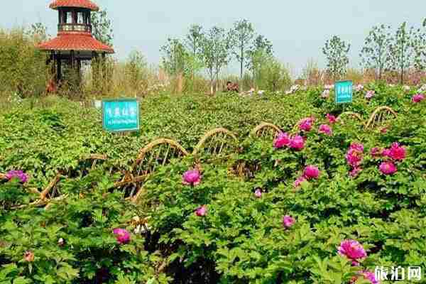 蘇州中國花卉植物園什么時候去最好 蘇州中國花卉植物園什么時候去最好