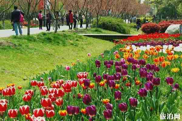 蘇州中國花卉植物園什么時候去最好