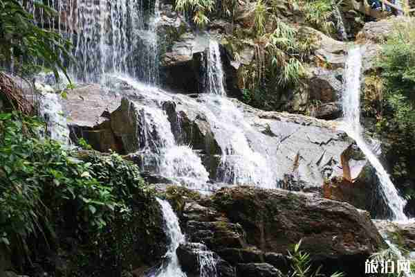 鼎湖山景區開放嗎 有什么好玩的