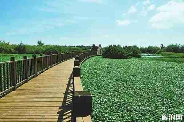 昆明周邊有什么好玩的地方和景區(qū)推薦 昆明周邊有什么好玩的地方和景區(qū)推薦