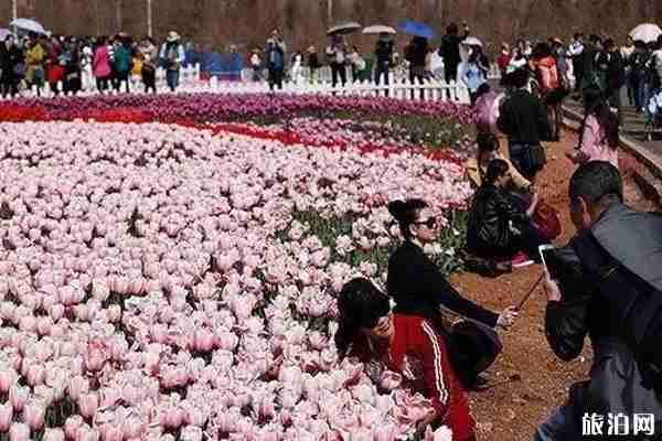 昆明周邊有什么好玩的地方和景區(qū)推薦 昆明周邊有什么好玩的地方和景區(qū)推薦