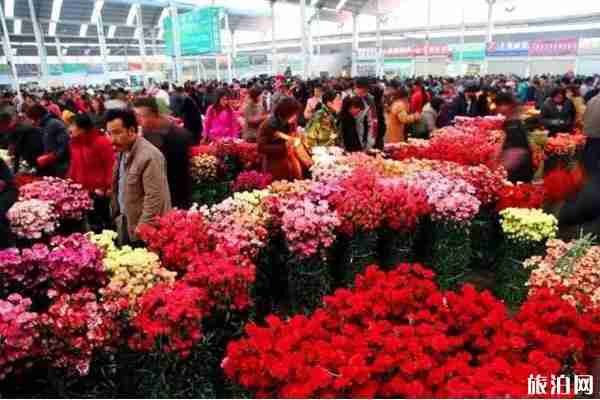 昆明周邊有什么好玩的地方和景區(qū)推薦 昆明周邊有什么好玩的地方和景區(qū)推薦