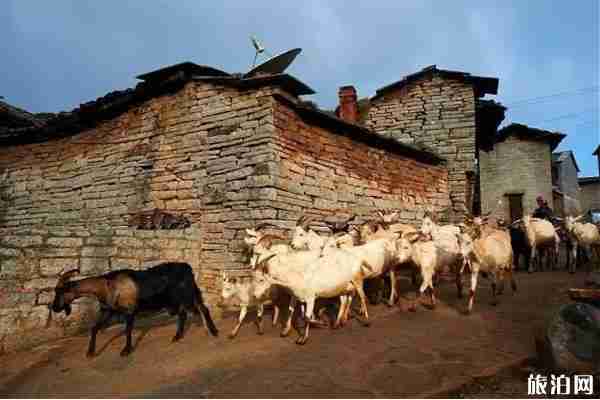 昆明周邊有什么好玩的地方和景區(qū)推薦 昆明周邊有什么好玩的地方和景區(qū)推薦