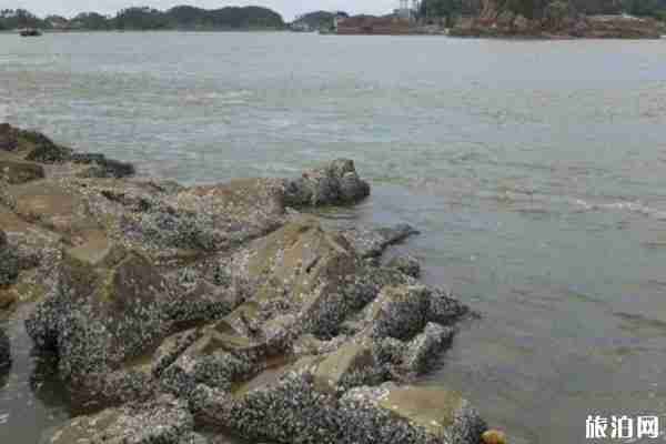 南寧免費釣魚水庫有哪些 在哪-注意事項