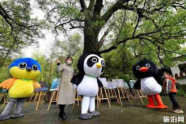 2020婺源五一旅游攻略