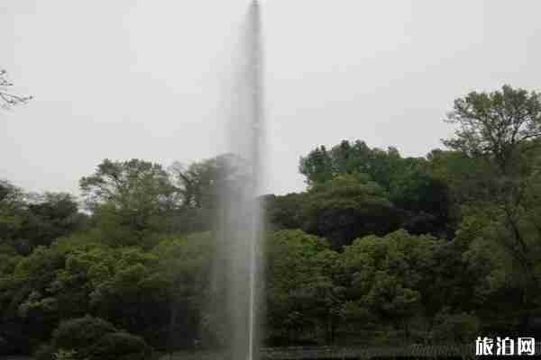 2020婺源五一旅游攻略