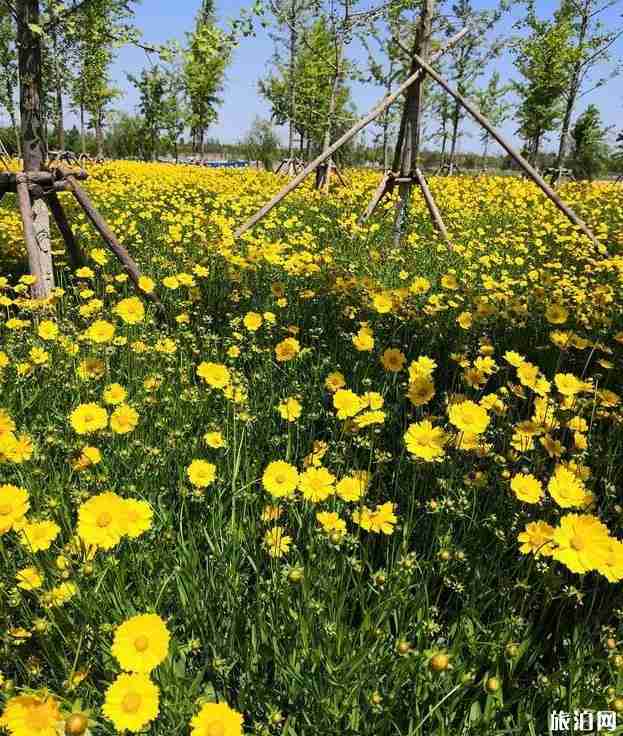 北京通州台湖万亩郊野公园门票停车指南 北京通州台湖万亩郊野公园门票停车指南