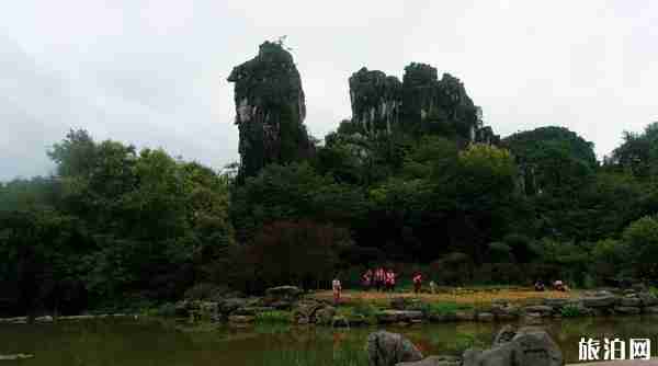 2020桂林旅游业什么时候可以恢复 2020桂林旅游业什么时候可以恢复