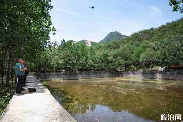 杨河村怎么样 焦作沁阳杨河村简介 杨河村怎么样 焦作沁阳杨河村简介