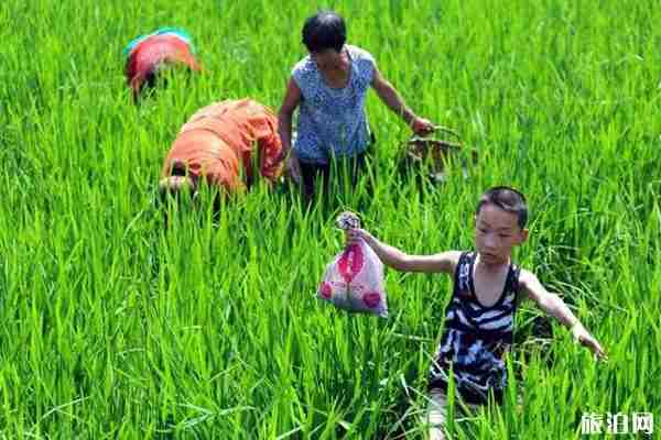 彭州避暑的好地方推荐 彭州避暑耍水地点