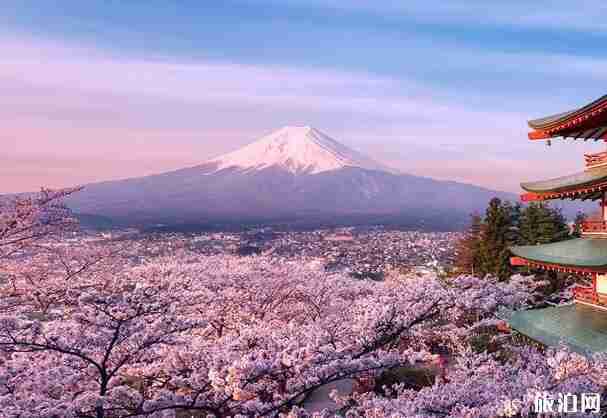 日本恢复跨县旅游 日本什么时候恢复旅游 日本恢复跨县旅游 日本什么时候恢复旅游