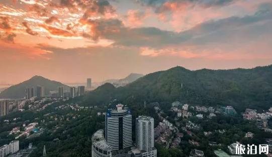 深圳市南山區哪里好玩 南山區好玩的免費景點