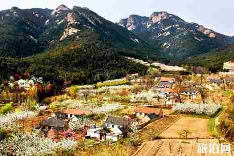 河南自駕游必去景點