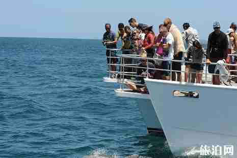 寒假親子游國外游推薦 寒假親子游國外游推薦