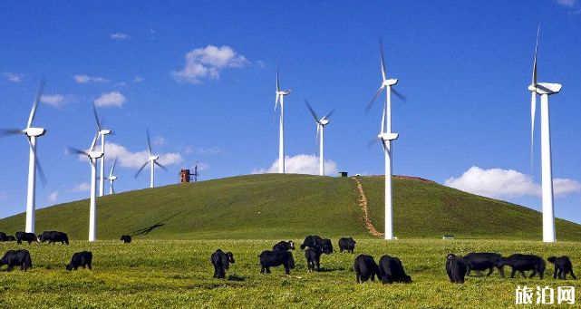 河北哪些景點軍人免費2019 河北退伍軍人免費景點 河北哪些景點軍人免費2019 河北退伍軍人免費景點