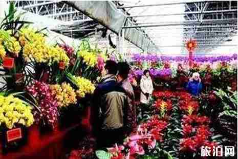 2019石家莊年貨市場整理