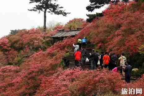 上饒有什么好玩的 上饒旅游景點(diǎn)推薦 上饒有什么好玩的 上饒旅游景點(diǎn)推薦