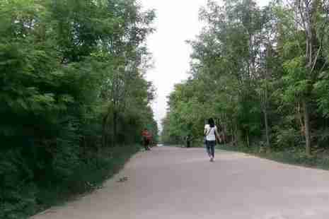 洛陽周邊有哪些免費景點 洛陽周邊免費景點推薦 洛陽周邊有哪些免費景點 洛陽周邊免費景點推薦