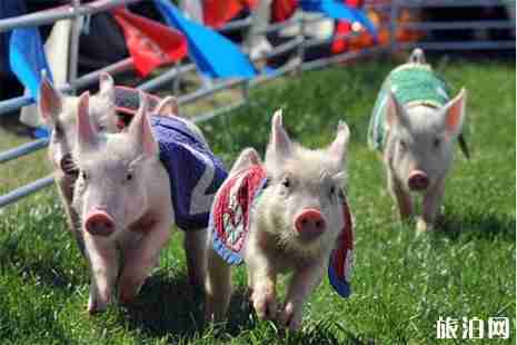 2019長沙望城區光明大觀園櫻花節2月1日至3月19日