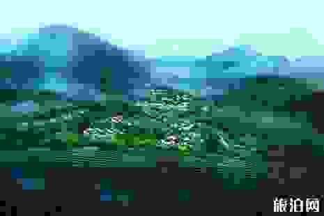 安吉有什么好玩的地方 安吉旅游景点推荐