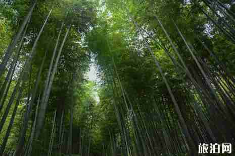 安吉有什么好玩的地方 安吉旅游景点推荐 安吉有什么好玩的地方 安吉旅游景点推荐