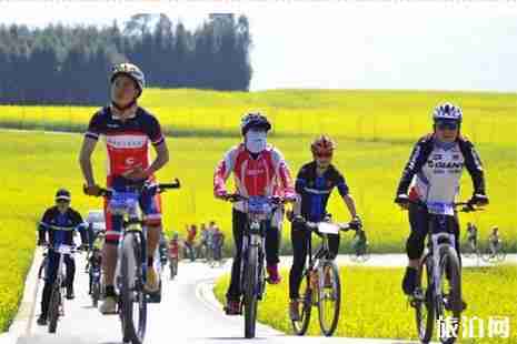 云南罗平油菜花节预计2月开始 罗平油菜花节活动时间安排 云南罗平油菜花节预计2月开始 罗平油菜花节活动时间安排