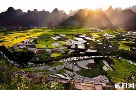 云南罗平油菜花节预计2月开始 罗平油菜花节活动时间安排 云南罗平油菜花节预计2月开始 罗平油菜花节活动时间安排