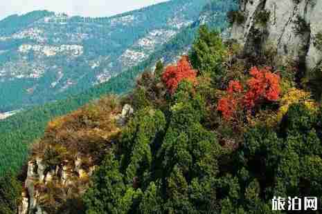 济南有哪些免费的景点 济南免费景点推荐
