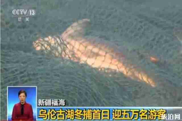 2019年乌伦古湖冬捕节活动 2019年乌伦古湖冬捕节活动
