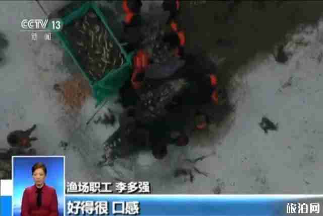 2019年乌伦古湖冬捕节活动 2019年乌伦古湖冬捕节活动