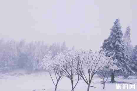 重庆仙女山国家森林公园游玩攻略 重庆仙女山国家森林公园游玩攻略