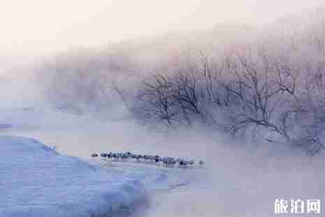 日本赏雪的地方推荐 日本赏雪的地方推荐