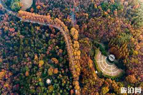 春节武汉出发自驾游攻略 春节武汉出发自驾游攻略