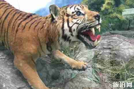 2019寒假北京对中小学生有优惠的景点有哪些 2019寒假北京对中小学生有优惠的景点有哪些